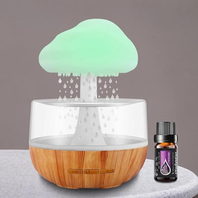 Rain Cloud Humidifier