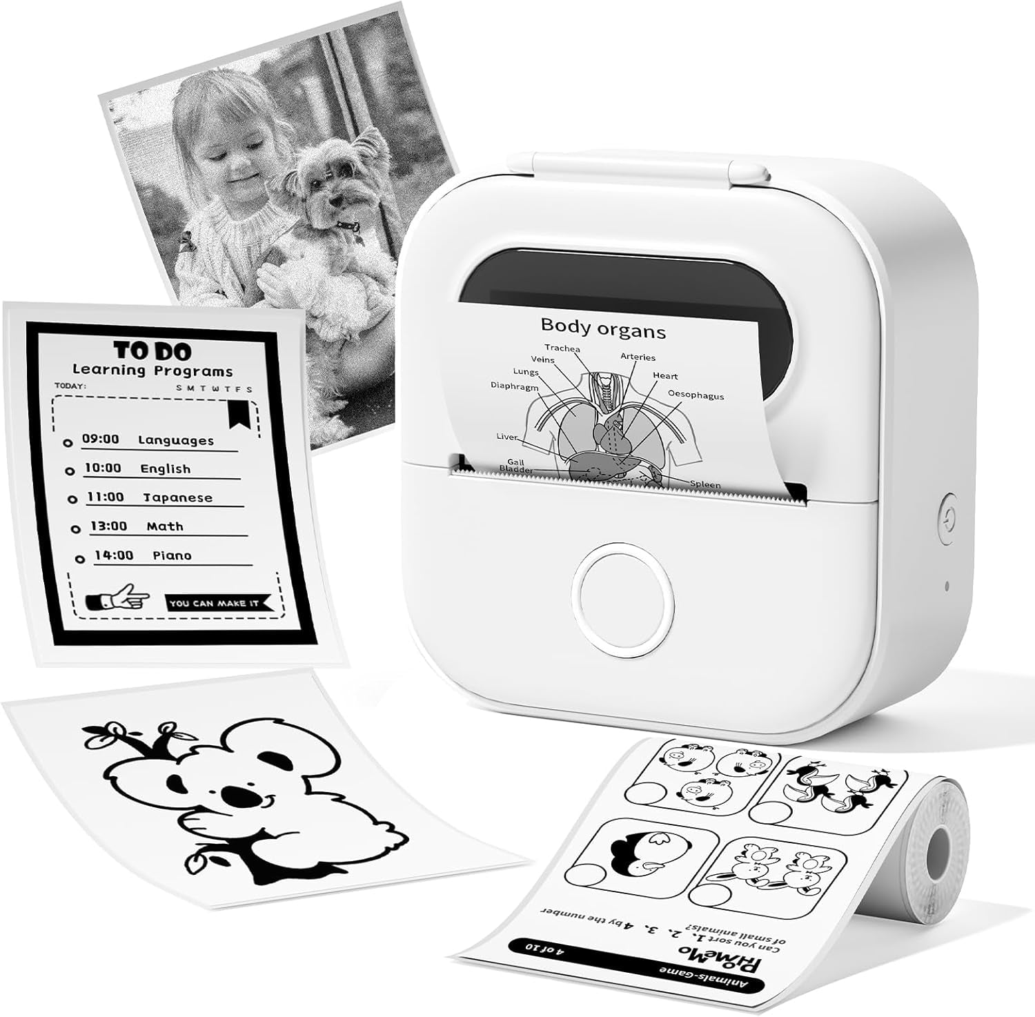 Portable Mini Thermal Printer